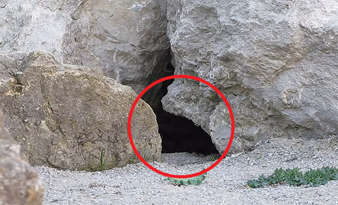 Έβαλαν κάμερα έξω από αυτήν τη σπηλιά και δείτε τι κατέγραψαν (video)
